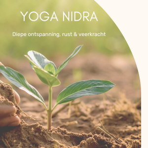 Web winkel Yoga Nidra    (870 x 450 px) (300 x 300 px)