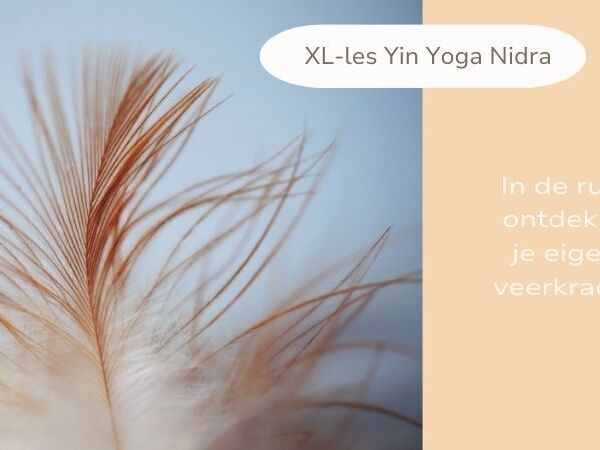Website Yinyoga Nidra  (870 x 450 px)