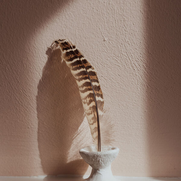 Sibbe-Wendy-51